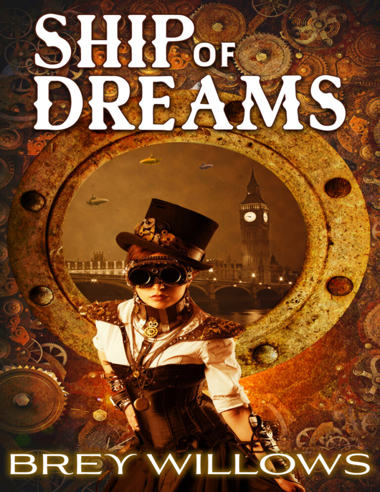 Ship of Dreams Brey Willows Kitap Kapağı