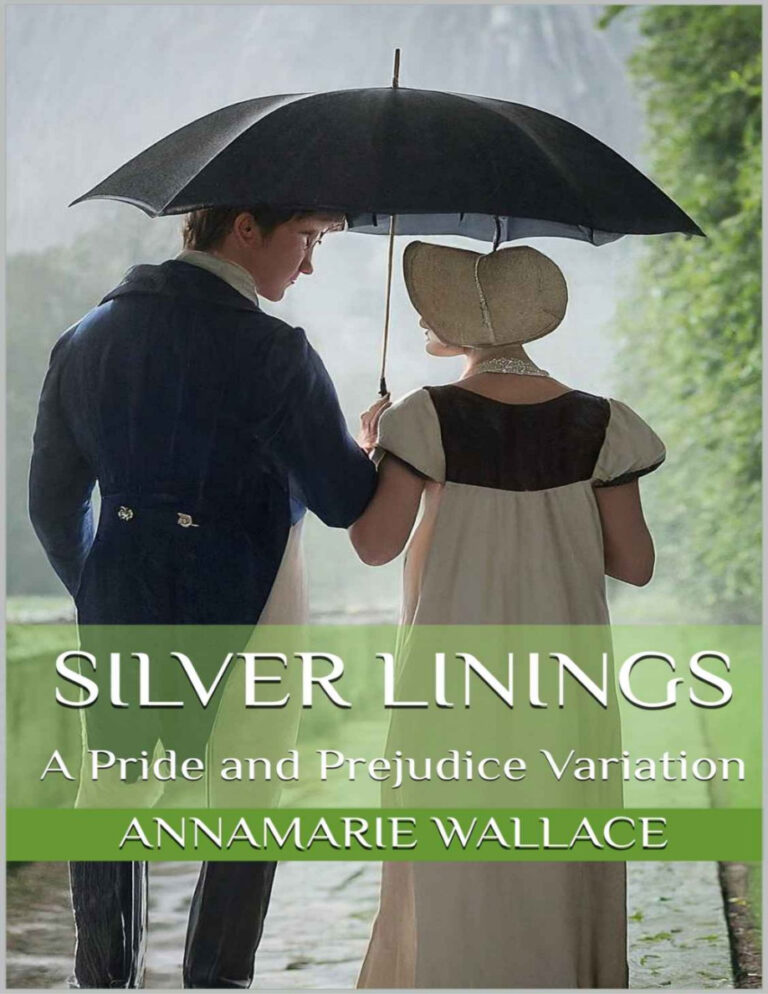 Silver linings Annamarie Wallace Kitap Kapağı