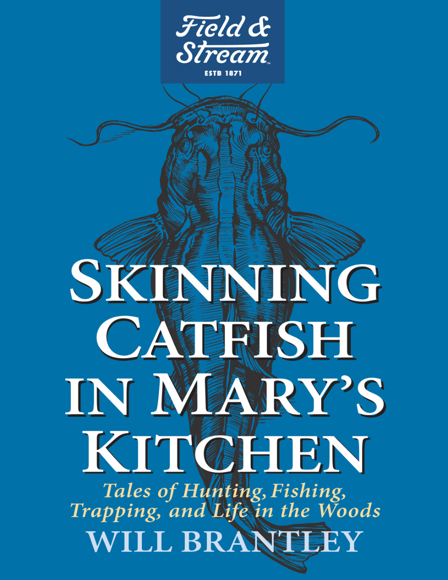 Skinning Catfish in Marys Kitchen Will Brantley Kitap Kapağı