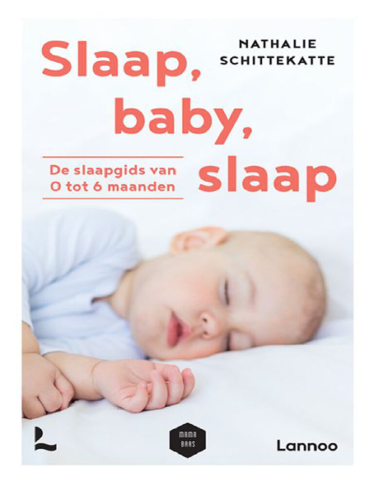 Slaap baby slaap Dutch Edition Nathalie Schittekatte Kitap Kapağı