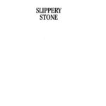 Slippery stone Khalid Baig Kitap Kapağı