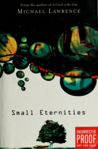 Small Eternities Michael Lawrence Kitap Kapağı