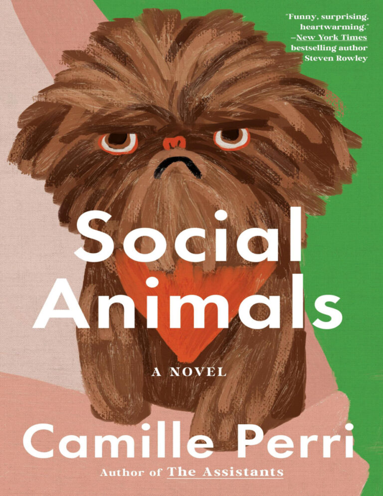 Social Animals Camille Perri Kitap Kapağı