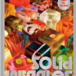 Solid Wiggles Jena Derman Kitap Kapağı