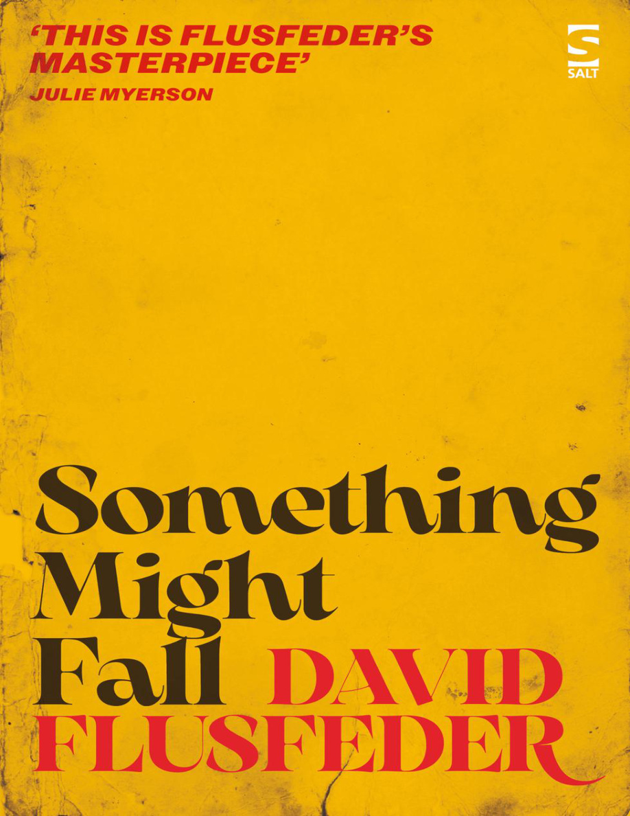 Something Might Fall David Flusfeder Kitap Kapağı