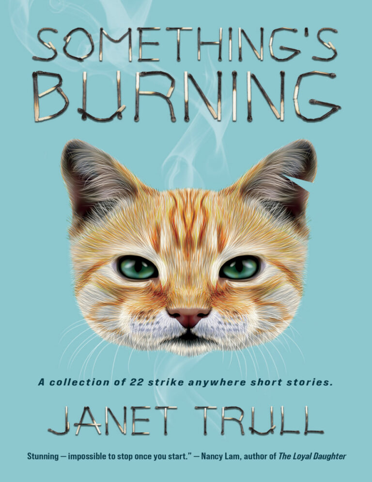 Somethings Burning Janet Trull Kitap Kapağı