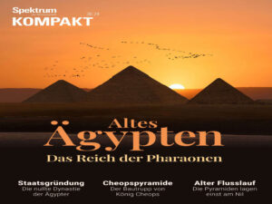 Spektrum der Wissenschaft Kompakt 09 September 2024 Spektrum der Wissenschaft Kompakt Kitap Kapağı
