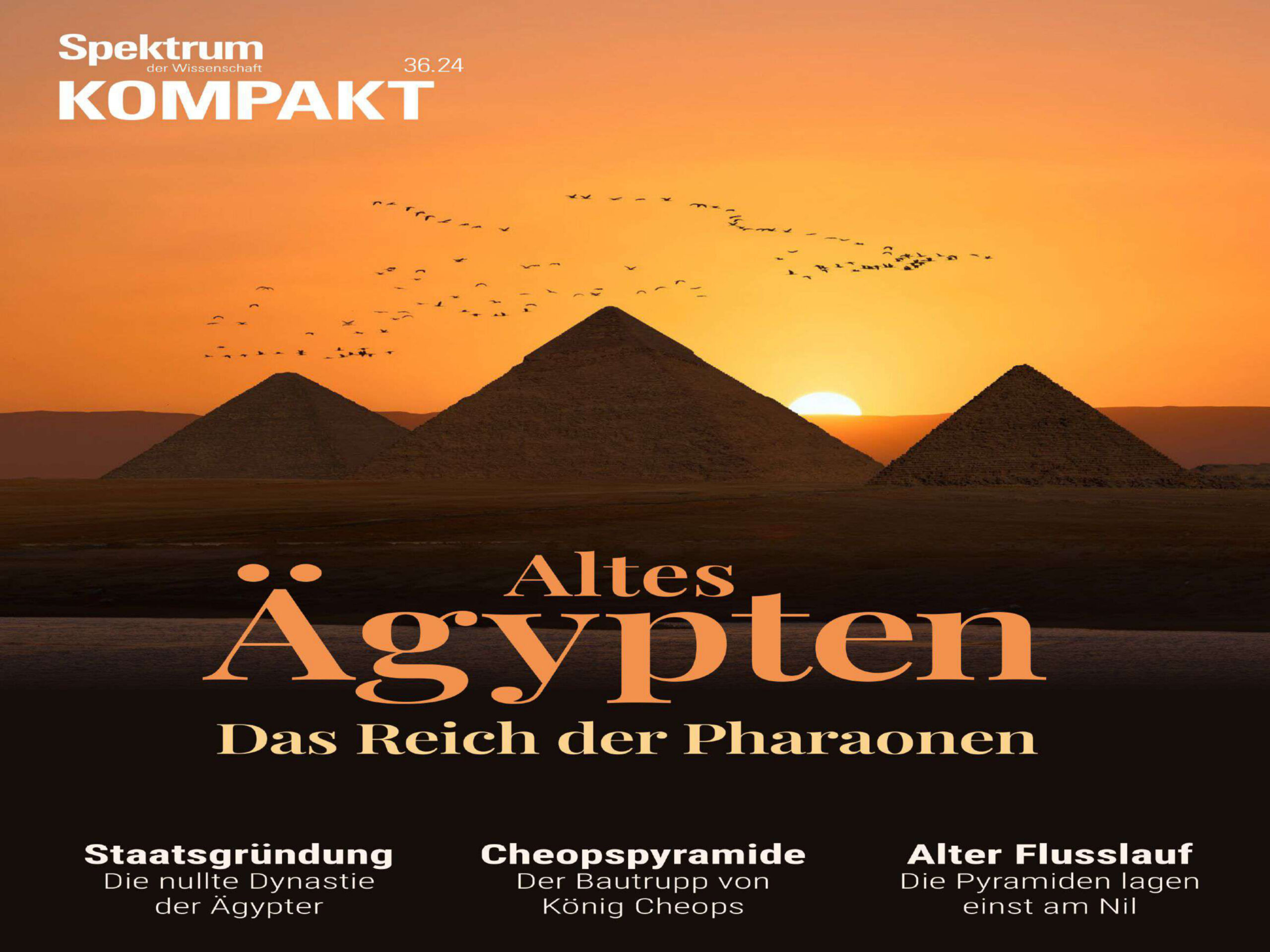 Spektrum der Wissenschaft Kompakt - 09 September 2024 PDF Download