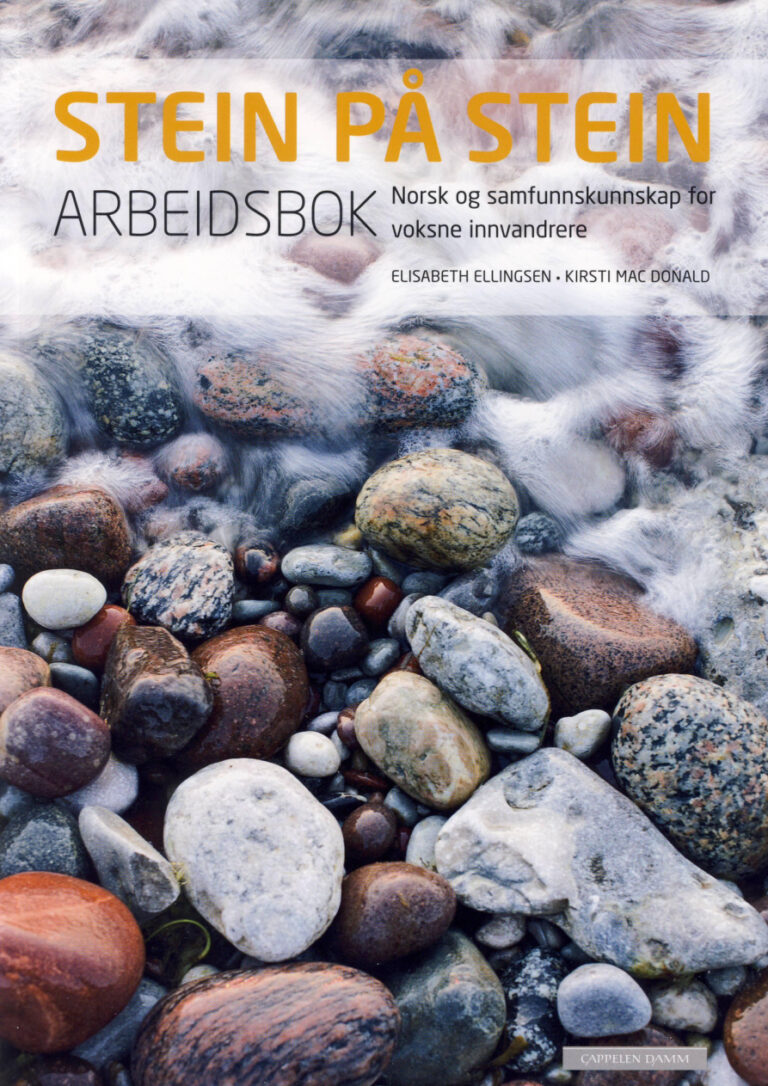 Stein pa Stein Norwegian Edition Elisabeth Ellingsen Kitap Kapağı