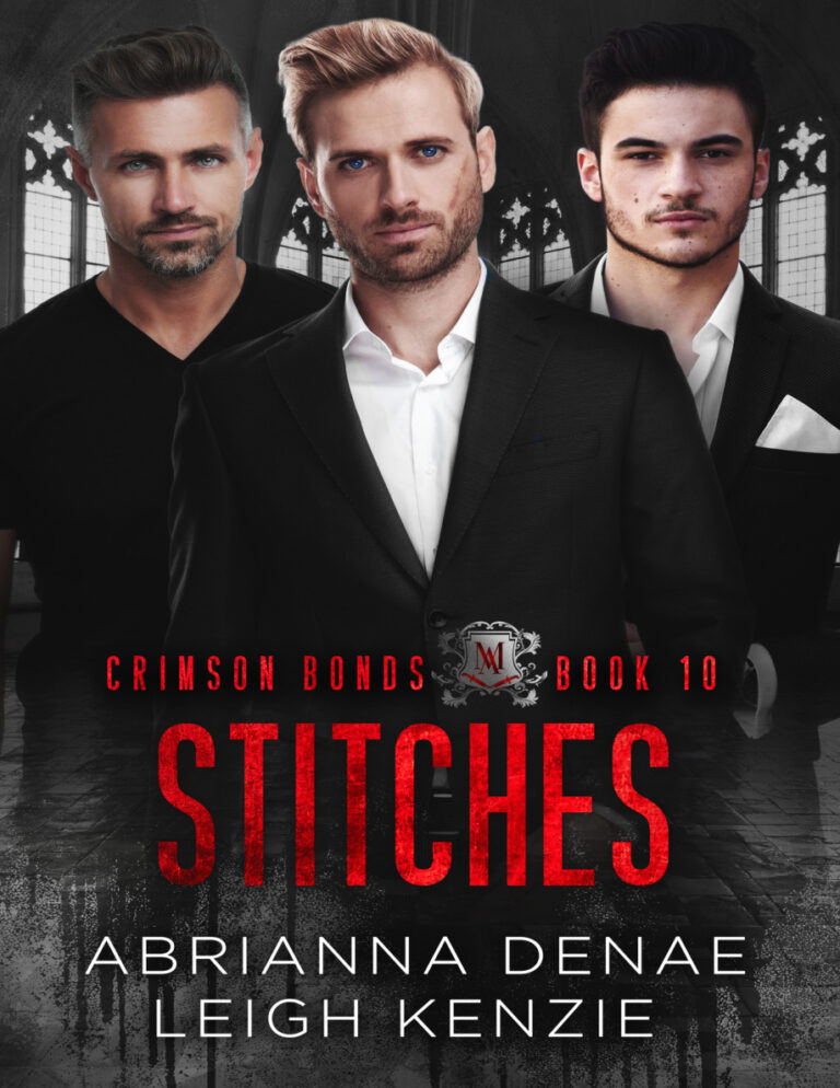 Stitches Abrianna Denae Kitap Kapağı