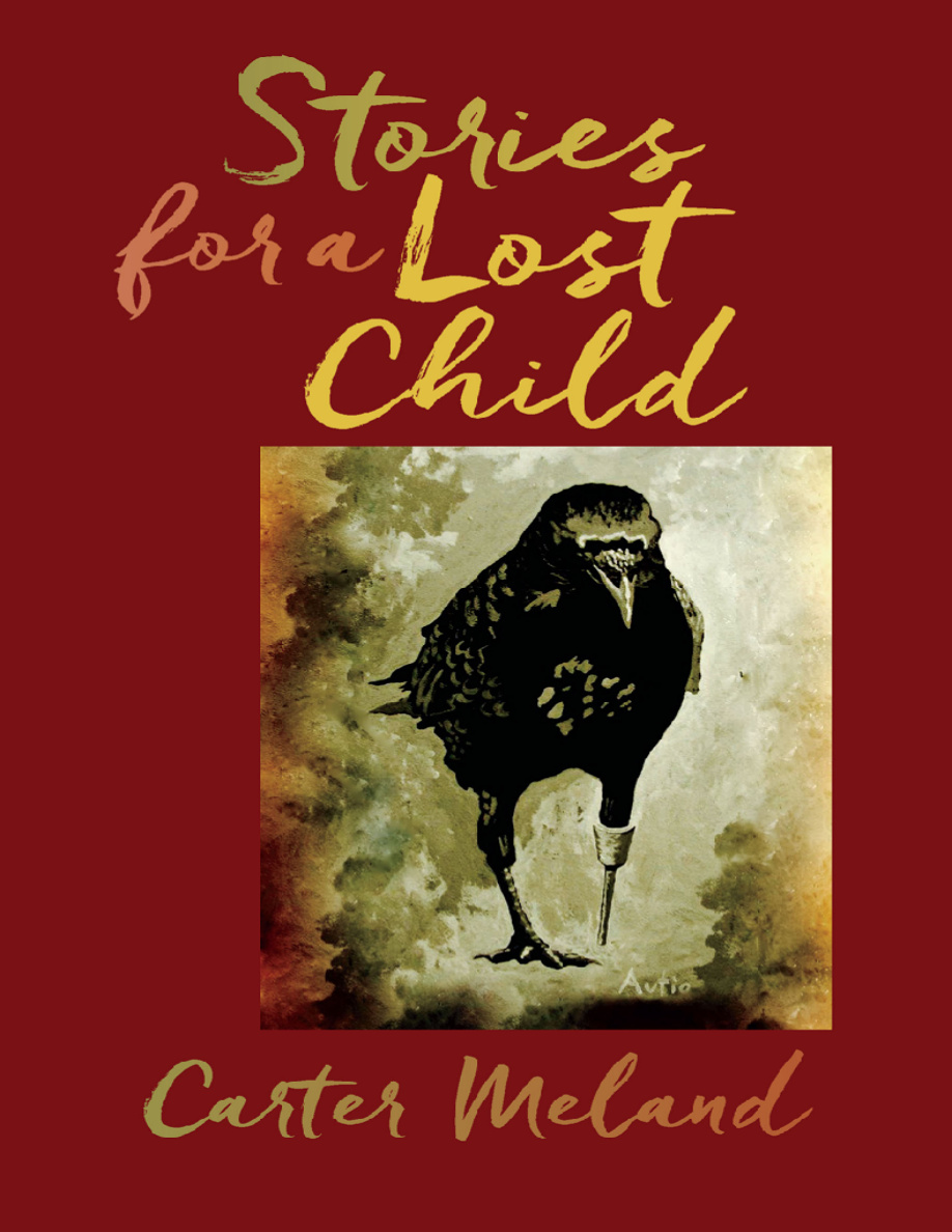 Stories for a Lost Child Carter Meland Kitap Kapağı