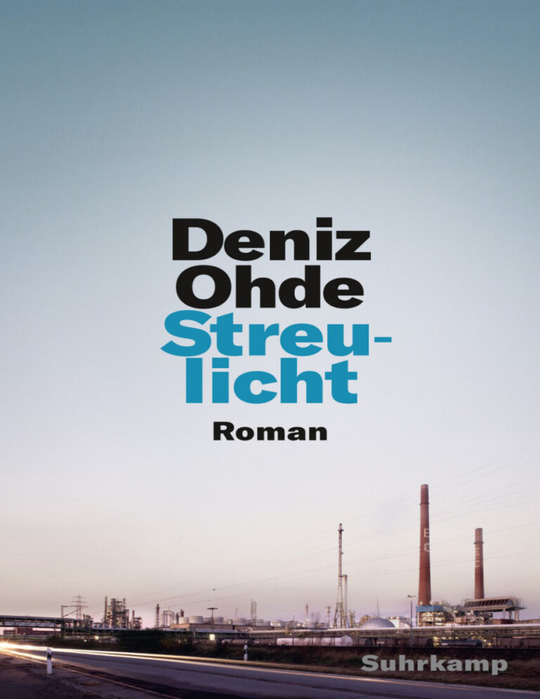 Streulicht German Edition Deniz Ohde Kitap Kapağı