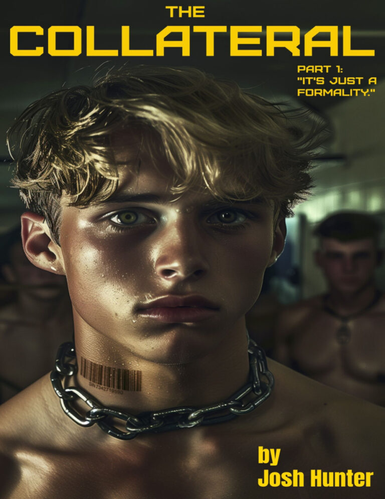 Stud Fees Josh Hunter Kitap Kapağı
