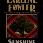 Sunshine and Shadow Earlene Fowler Kitap Kapağı
