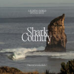 Surfing World Magazine Issue 428 2026 Surfing World Magazine Kitap Kapağı