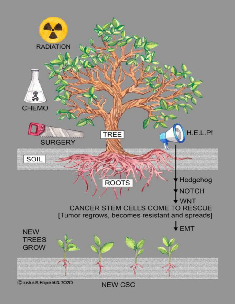 Surviving Cancer COVID 19 and Disease The Repurposed Drug Revolution Justus R Hope Kitap Kapağı