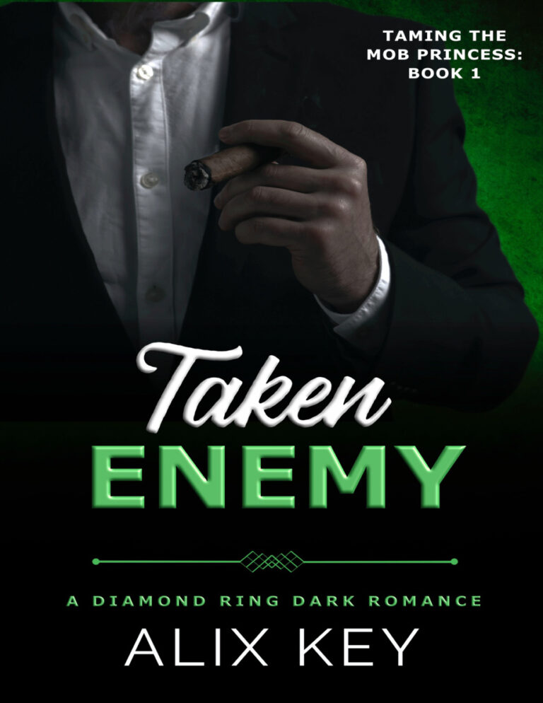 Taken Enemy Alix Key Kitap Kapağı