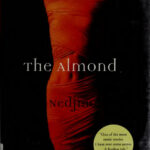 The Almond Nedjma Kitap Kapağı
