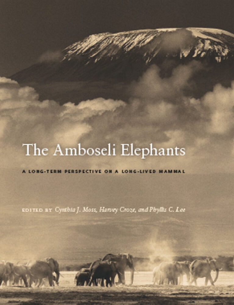 The Amboseli Elephants A Long Term Perspective on a Long Lived Mammal cynthia j moss Kitap Kapağı