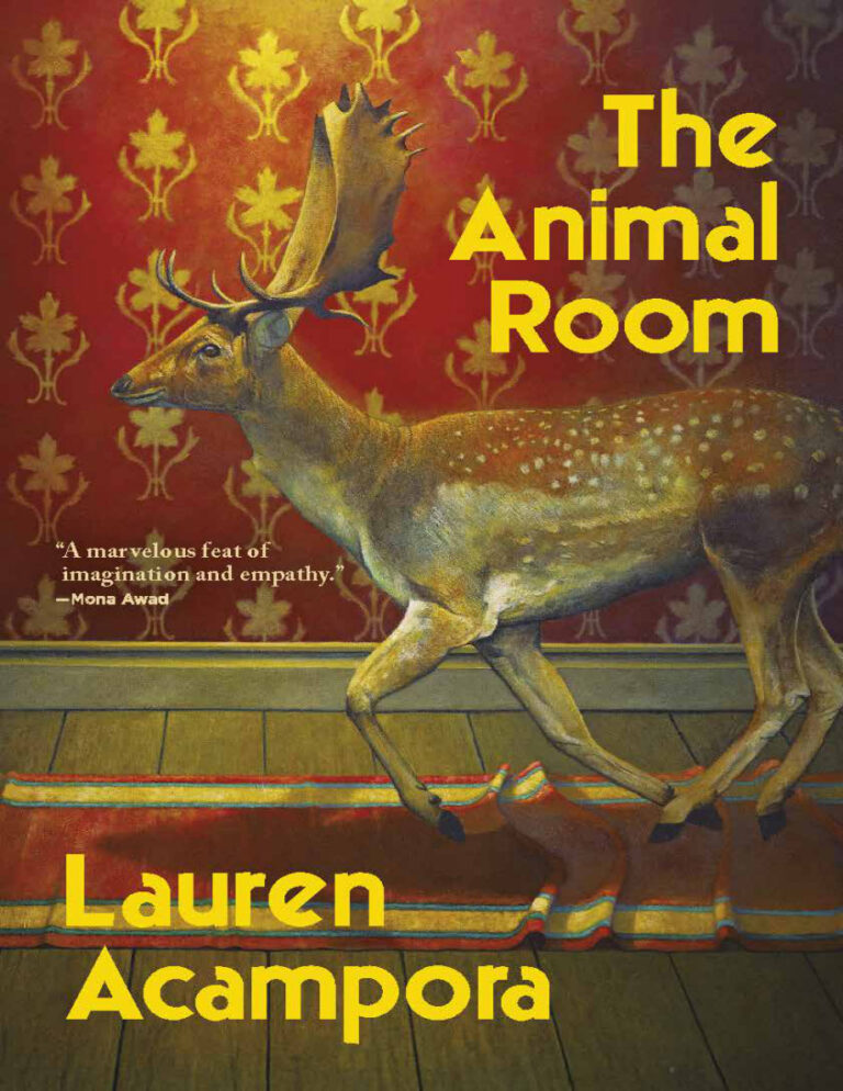 The Animal Room Lauren Acampora Kitap Kapağı