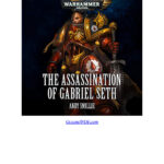 The Assassination of Gabriel Seth Andy Smillie Kitap Kapağı