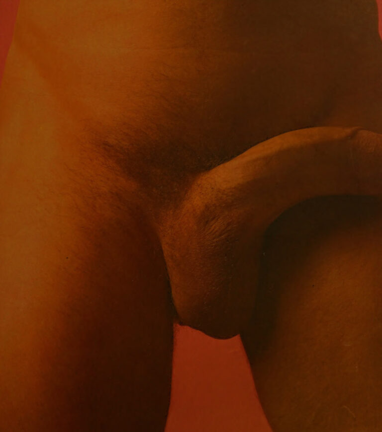 The Big Penis Book Dian Hanson Kitap Kapağı