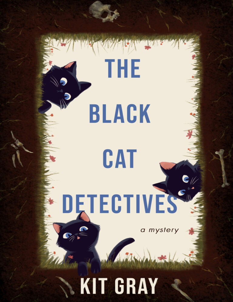 The Black Cat Detectives Kit Gray Kitap Kapağı