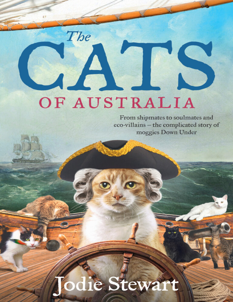 The Cats of Australia Jodie Stewart Kitap Kapağı