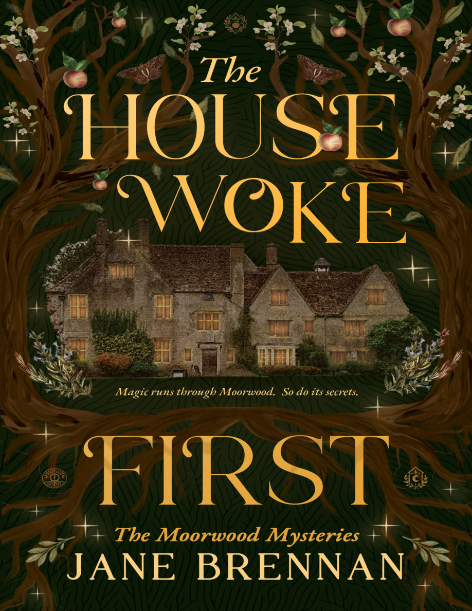 The House Woke First PDF Download