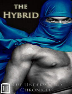 The Hybrid Rotxinxpieces Kitap Kapağı