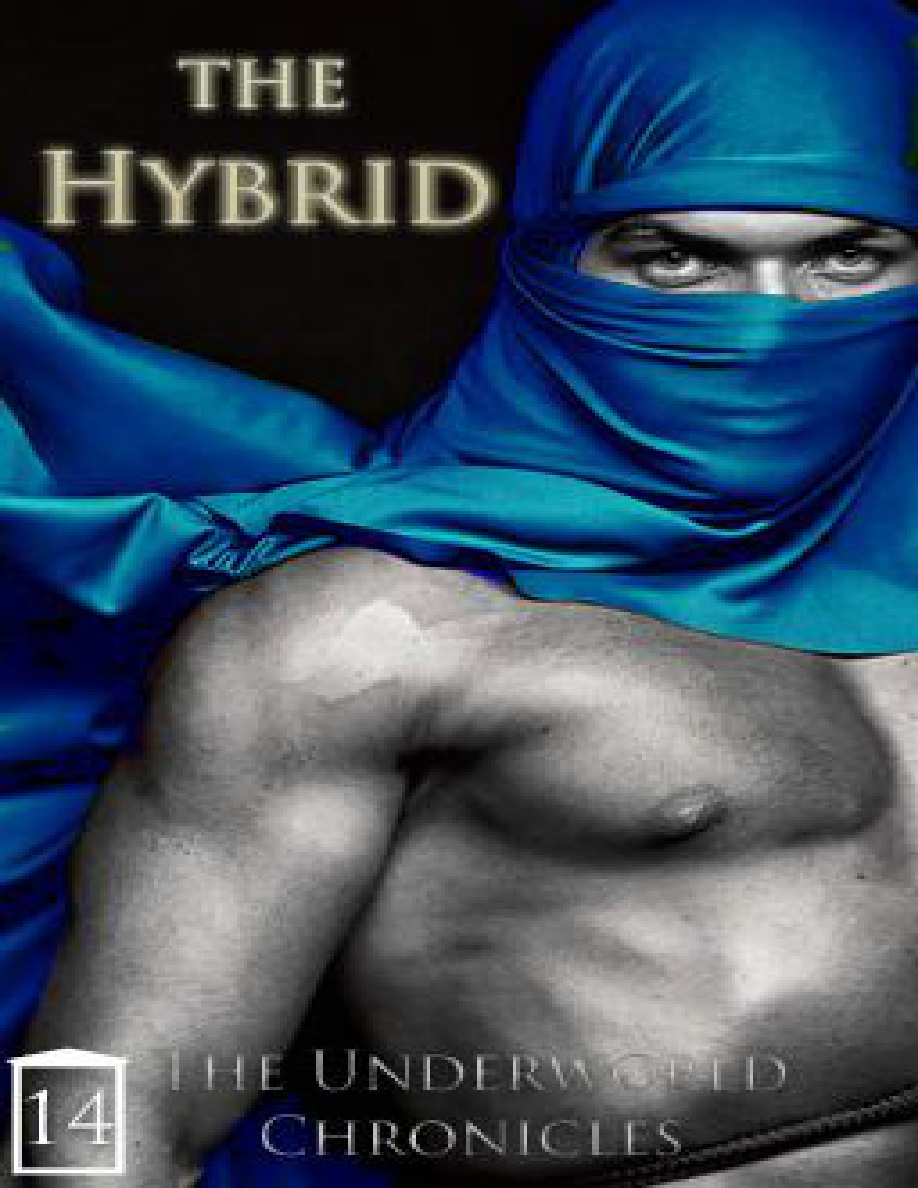 The Hybrid PDF Download