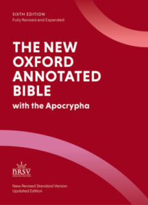 The New Oxford Annotated Bible 6th Ed Michael D Coogan Kitap Kapağı