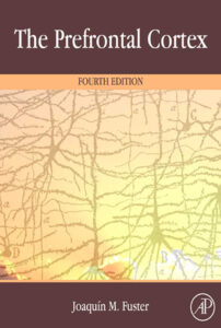 The Prefrontal Cortex Joaquin Fuster Kitap Kapağı