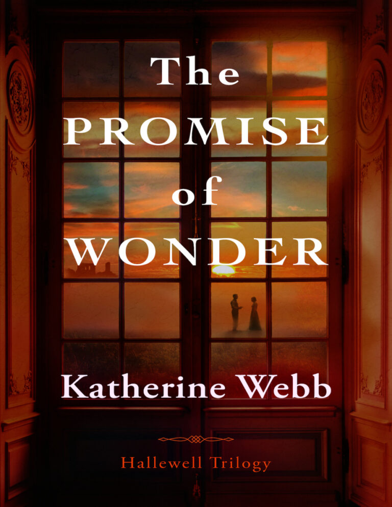 The Promise of Wonder Katherine Webb Kitap Kapağı