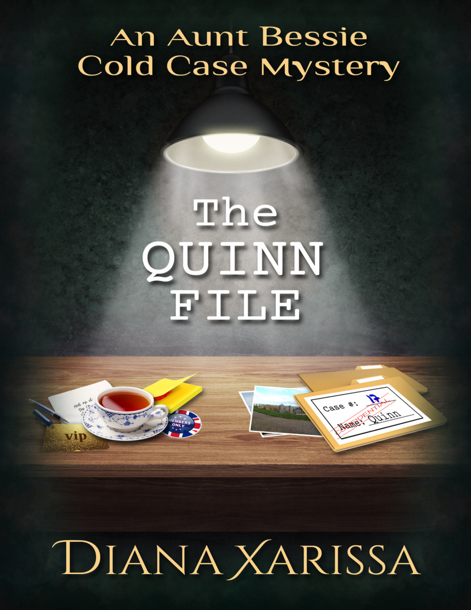 The Quinn File PDF Download