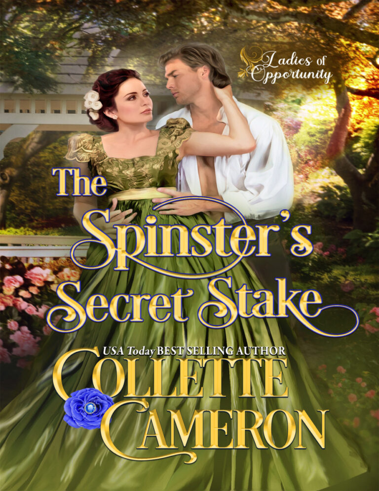 The Spinsters Secret Stake Collette Cameron Kitap Kapağı