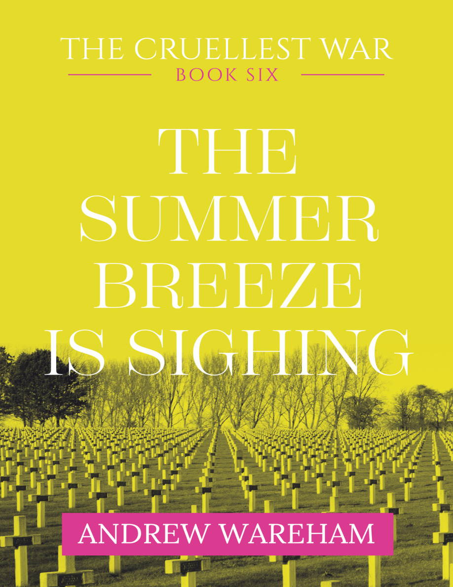 The Summer Breeze Is Sighing Andrew Wareham Kitap Kapağı