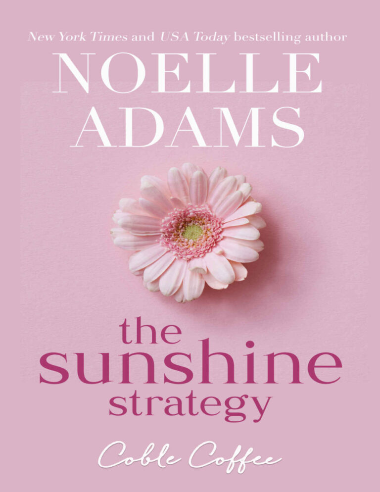 The Sunshine Strategy Noelle Adams Kitap Kapağı
