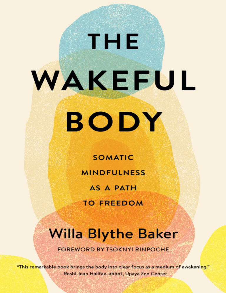 The Wakeful Body Willa Blythe Baker Kitap Kapağı