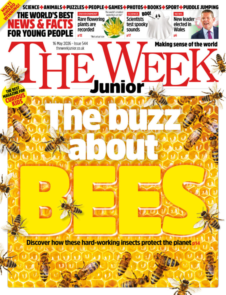 The Week Junior UK Issue 544 16 May 2026 The Week Junior UK Kitap Kapağı