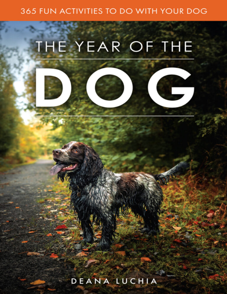 The Year of the Dog Deana Luchia Kitap Kapağı