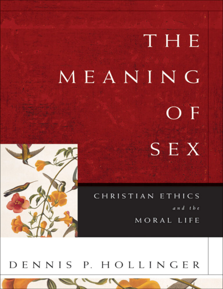The meaning of sex Christian ethics and the moral life Hollinger Kitap Kapağı