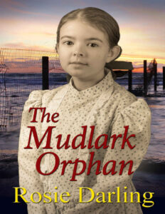 The mudlark orphan Rosie Darling Kitap Kapağı