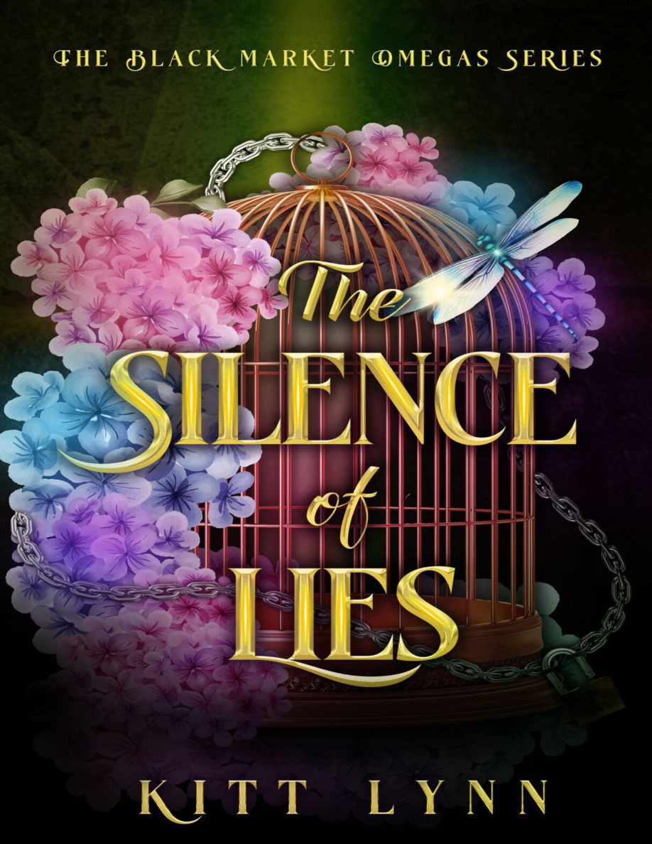 The silence of lies Kitt Lynn Kitap Kapağı