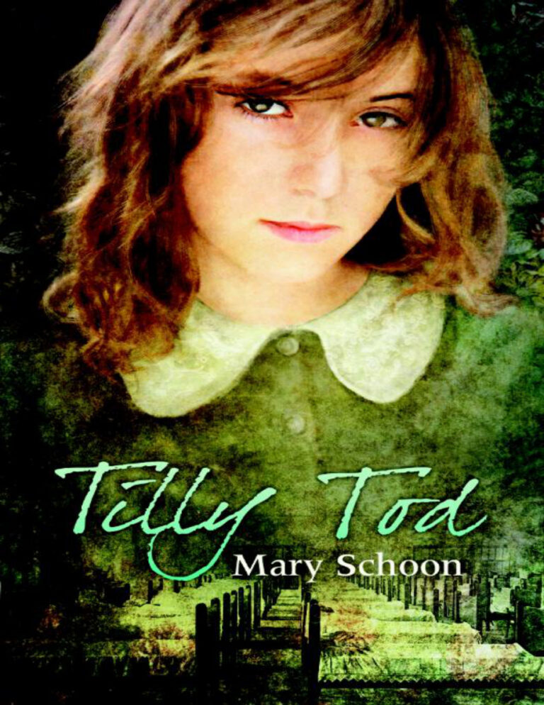 Tilly Tod Dutch Edition Mary Schoon Kitap Kapağı