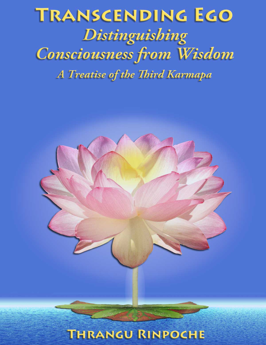 Transcending Ego: Distinguishing Consciousness from Wisdom PDF Download