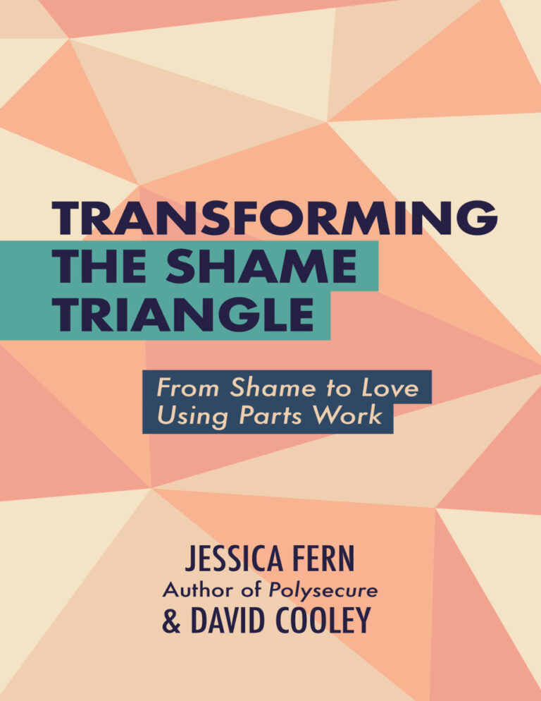 Transforming the Shame Triangle Jessica Fern Kitap Kapağı