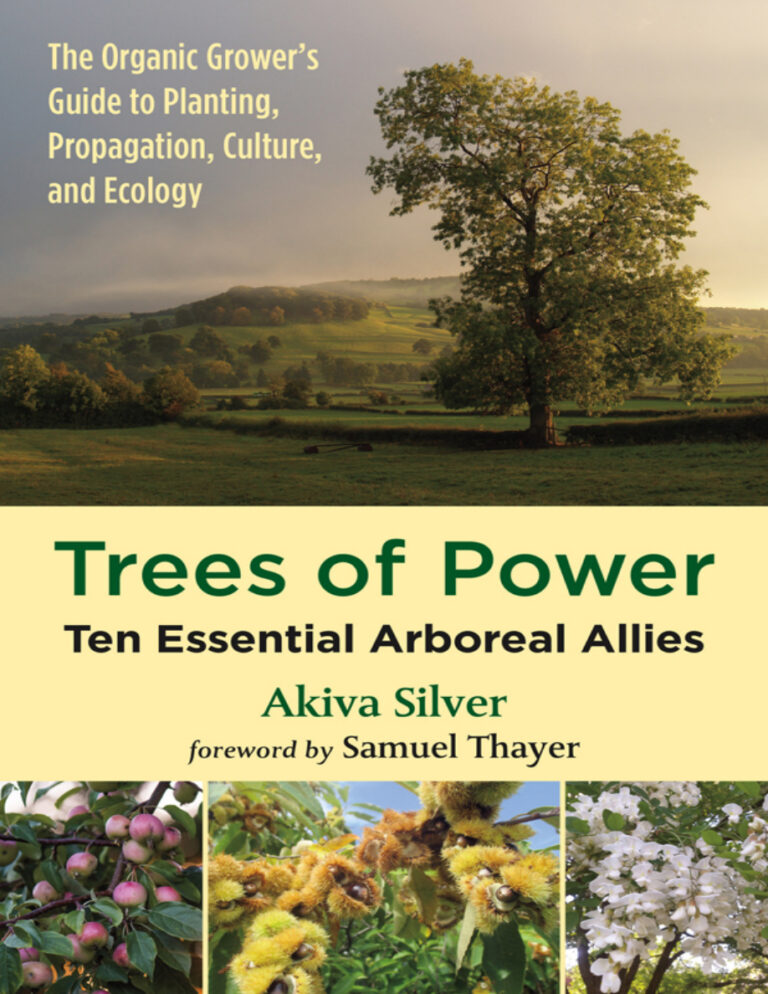 Trees of Power Ten Essential Arboreal Allies Akiva Silver Kitap Kapağı