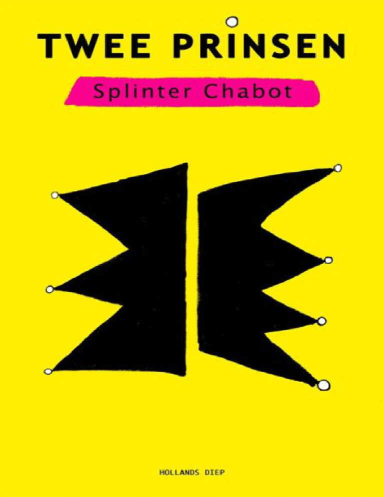 Twee prinsen Dutch Edition Splinter Chabott Kitap Kapağı