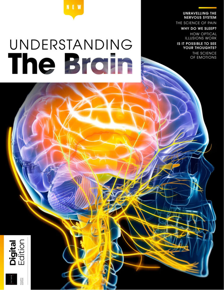 Understanding The Brain 4th Edition 2026 Understanding The Brain Kitap Kapağı